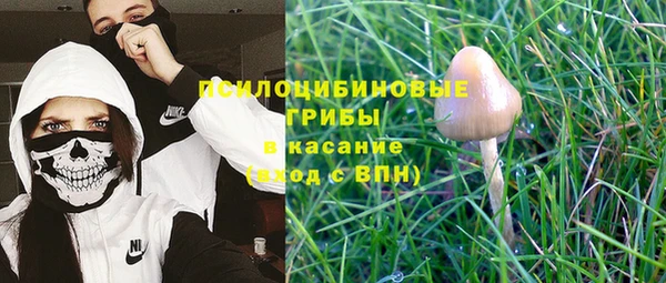 винт Лабытнанги