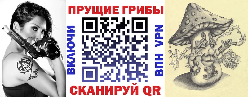 Галлюциногенные грибы прущие грибы  Ахтырский 